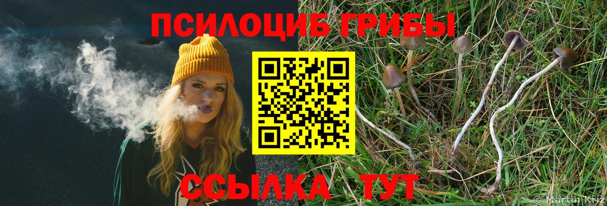Верхняя Салда  Галлюциногенные грибы Cubensis  Вход с VPN 