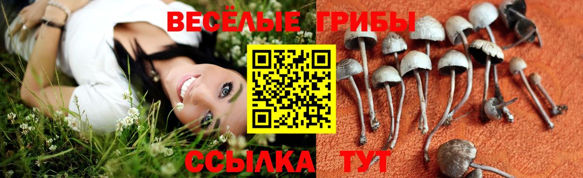Галлюциногенные грибы ЛСД Верхняя Салда
